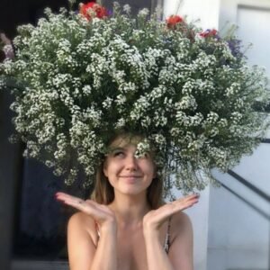 Алісум Сноу Принцес