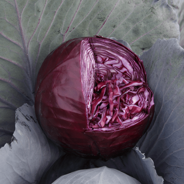 Капуста Рескью F1, 10шт