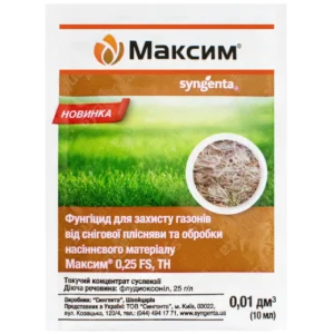 Максим Протруйник, 10г