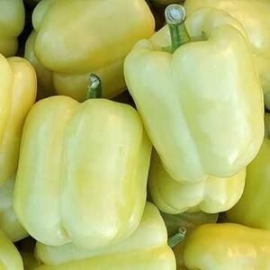 Перець Блонді F1, 10шт Перець Блонді F1, 10шт