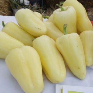 Перець Хаскі F1, 10шт Перець Хаскі F1, 10шт