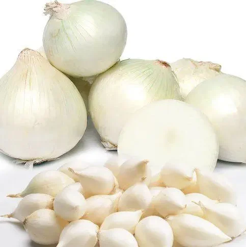 Озима цибуля сіянка Сноуболл, 0,5кг