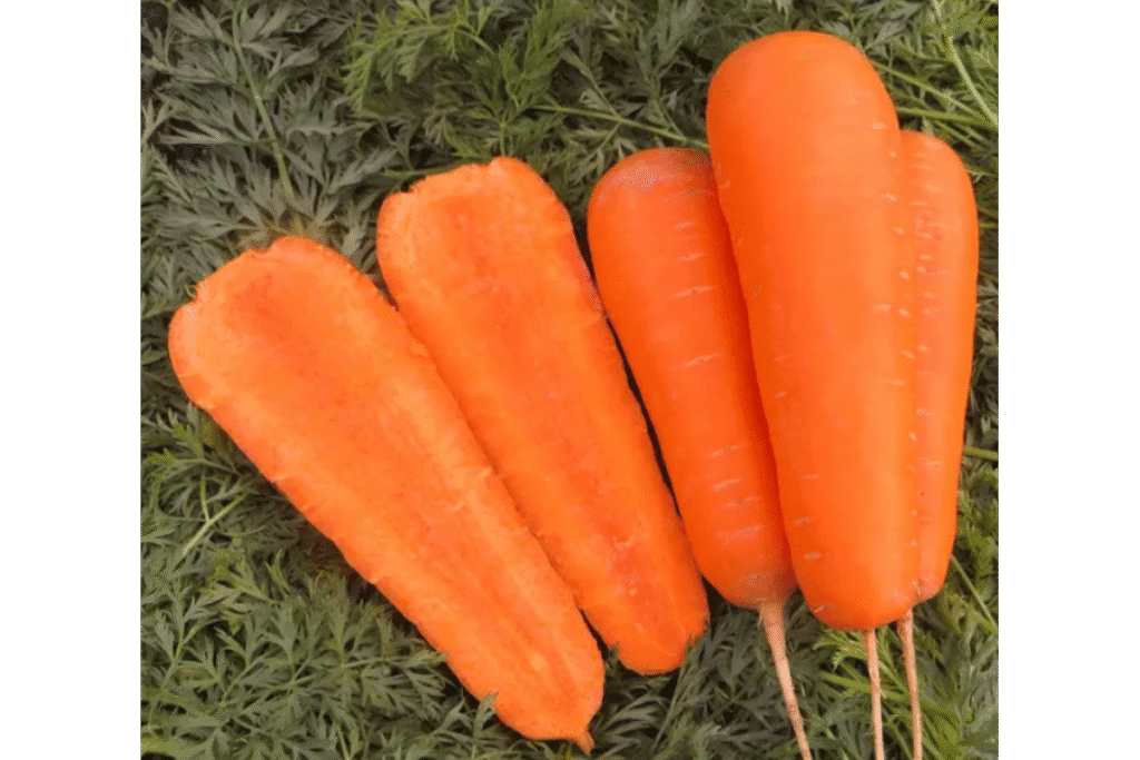 Морква Болівар F1 Морква Болівар F1