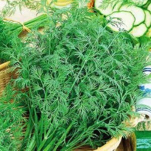 Кріп Алігатор, 2г Кріп Алігатор, 2г