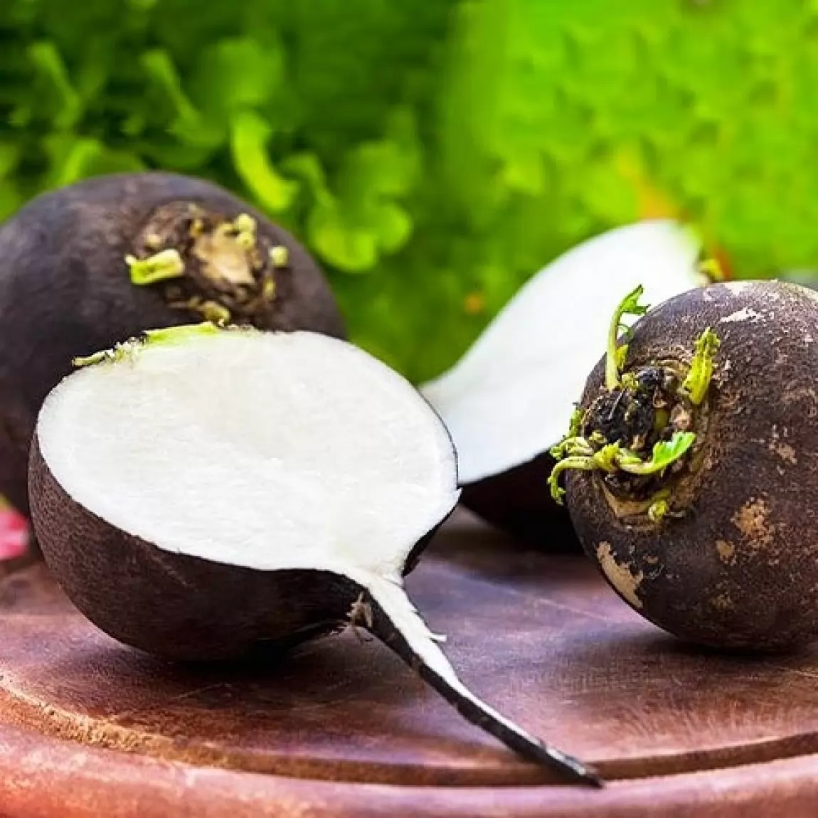 Редька Сквирська чорна, 2,8г Редька Сквирська чорна, 2,8г