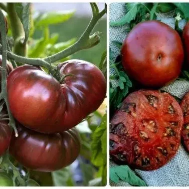 Томат Біг Блек, сорт 10шт