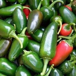 Перець гострий 1851 F1, 10шт