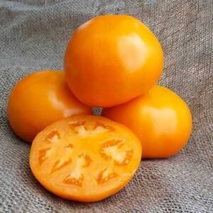 Томат Айсан F1, 10шт Томат Айсан F1, 10шт