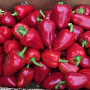 Перець Комбат F1, 10шт