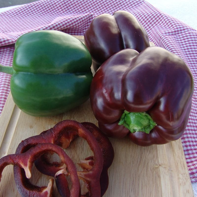 Перець Інгрід, сорт 10шт Перець Інгрід, сорт 10шт