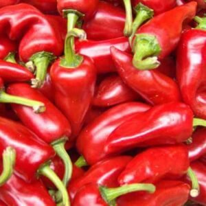 Перець гострий Джапо F1, 5шт Перець гострий Джапо F1, 5шт