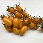 Томат Мінікін F1, 10шт Томат Мінікін F1, 10шт