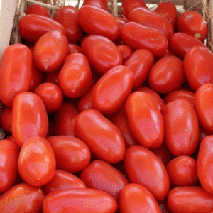 Томат Філікса F1, 10шт