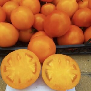 Томат Батур F1, 10шт