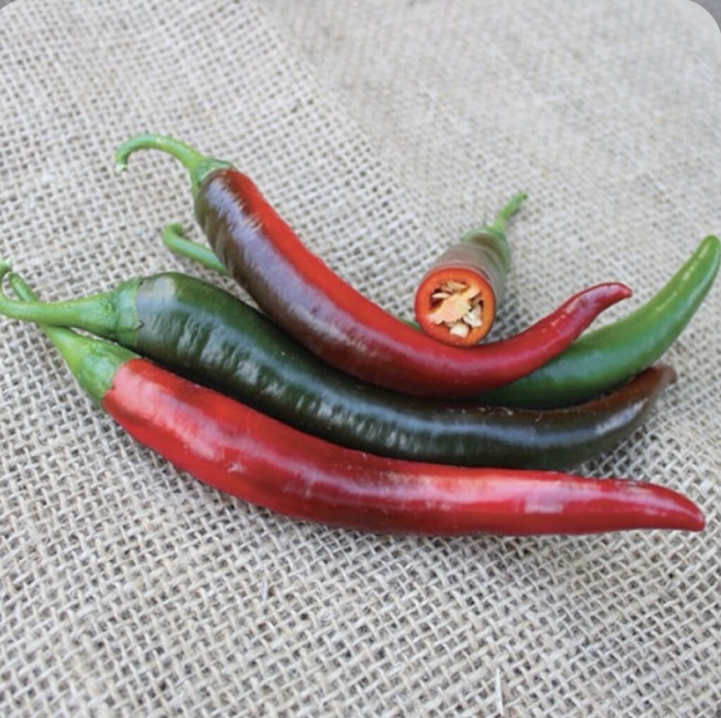 Перець гострий Джафар F1, 10шт