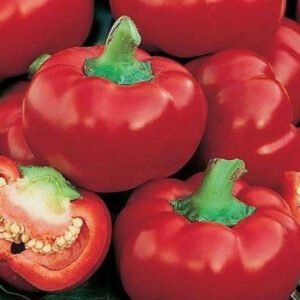 Перець Думас, 10шт