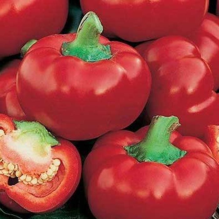 Перець Думас, 10шт Перець Думас, 10шт