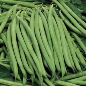 Квасоля спаржева Серенгеті, 20 шт