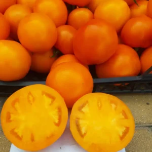 Томат Рані F1, 10 шт Томат Рані F1, 10 шт